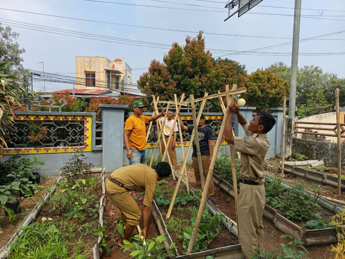 Pegawai DKP3 Kota Metro melakukan kegiatan urban farming